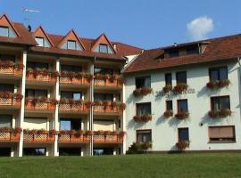 博格瓦尔道酒店，位于Grasellenbach的酒店