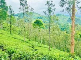 Zonooro Homestay Vythiri