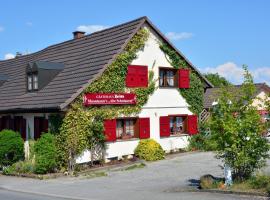 奥特施雷内里哈勒金宾馆，位于辛根的酒店