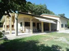 Quinta do Olival - Douro Valley