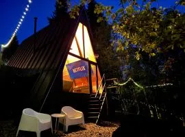 M Cabin A Frame Predeal 2 Ciubar