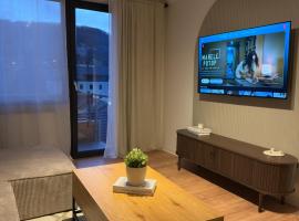 Cozy Central View，位于雷希察的自助式住宿