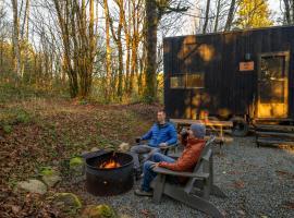 Postcard Cabins Skagit Valley, Outdoor Collection by Marriott Bonvoy，位于芒特弗农的露营地