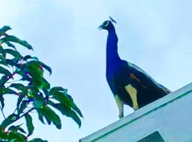 little rose inn，位于韦勒沃耶的酒店