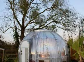 Maison Thalène - La Bulle