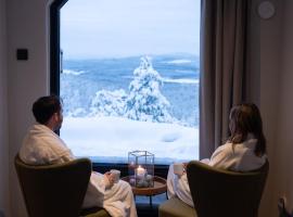 Kaamos Lodge，位于Aavasaksa的酒店