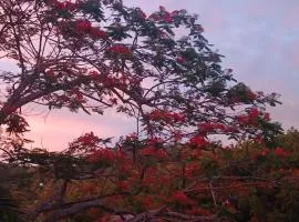 SeaSide Cozy HomeStay