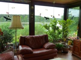 Bungalow am Küstrinsee bei Lychen，位于利兴的酒店