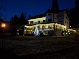 Vila Apuseni，位于阿列谢尼的宠物友好酒店
