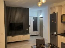 Urban Elegance Apartment