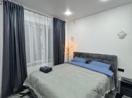 Apartament ultra-central，位于埃迪内茨的酒店