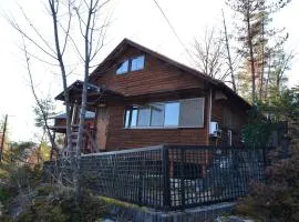 Community cabin 恵那