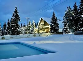 Domeniul CRIS Vatra Dornei，位于瓦特拉多尔内的海滩酒店