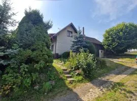 Family house with garden