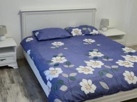 Central apartment T&acirc;rgu Mureș，位于特尔古穆列什的自助式住宿