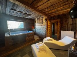 La Dane Zoncolan aparthotel & spa，位于苏特廖的酒店