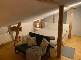 Cesis city apartment