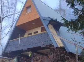 The house at the larssen