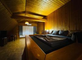 Family Apartment Staňkov, Sauna & Playground，位于Staňkov的酒店