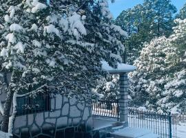 Cabañas las Gemelas，位于Areponapuchi的酒店