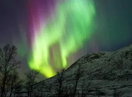 4 person holiday home in TANA