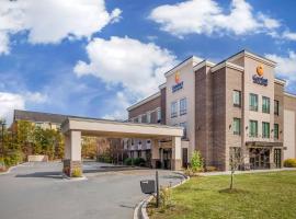 Comfort Inn & Suites Florence Center Area，位于佛罗伦萨的酒店