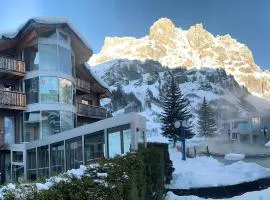 维多利亚洛伊克巴德温泉酒店