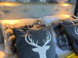 Bavaria Mountain Chalet DESIGN Ferienwohnung SKI Arber Osser Terrasse Sauna in Villa mit Bergblick bis 6 Pers，位于霍恩瓦特的木屋