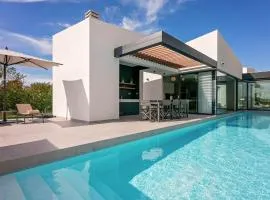Modern villa Ruzic with pool near Porec
