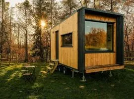 Homnest - Clairiere des Animaux - 1h de Toulouse