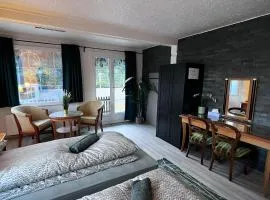 Apartment Thun - Lake view - for 6 guests