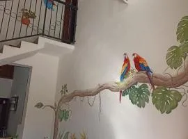 Casa Guacamaya