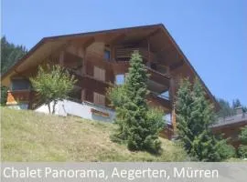 Apartment Panorama 2 Bett Wohnung by Interhome