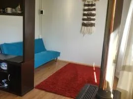 Mini cabaña acogedora en entorno natural