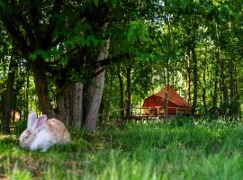 AMANI - Aap，位于利赫塔特的酒店