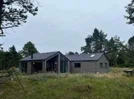 Nordic Summer House In Ålbæk With Spa And Sauna