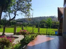 Nest Homestay