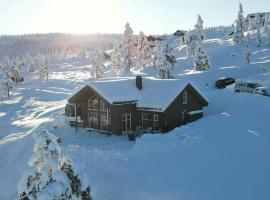 Modern Family Cabin By Gautefall Ski Trails，位于Gautefall的酒店
