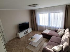 Barons Street Apartment，位于Dobele的酒店