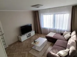 Barons Street Apartment