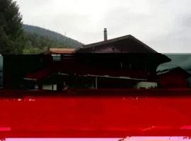 Apartment Chalet Bärli by Interhome