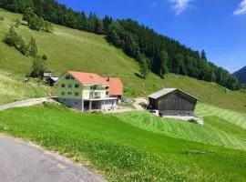 Apartment Schwändelifluh by Interhome