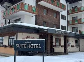 克莱恩瓦尔赛特尔套房酒店