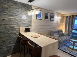LE CORBIER Vue pistes Studio 5 personnes entièrement rénové et labellisé Qualité Hébergement Sybelles