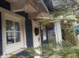 Szyszkowy Zakątek，位于维斯瓦的酒店