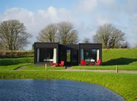 Mad Swans in The Mendips