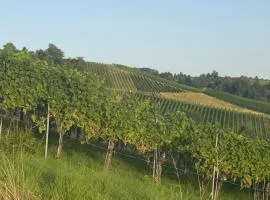 Private Longevity Retreat