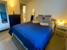 Cozy basement apartment