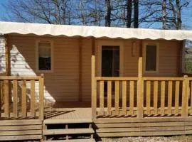 Mobil-home confortable avec terrasse à Saint-Gérons - API-1-52-1315