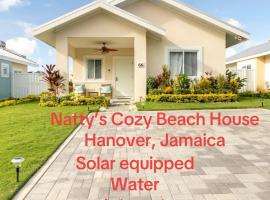 Natty’s Cozy Beach house in Hanover Jamaica，位于Point的酒店
